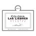 Altos Las Hormigas Colonia Las Liebres Bonarda 2017 Front Label