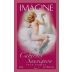 Imagine Wine Cabernet Sauvignon 2008 Front Label