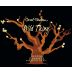 Carol Shelton Wild Thing Old Vine Zinfandel 2009 Front Label