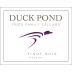 Duck Pond Willamette Valley Pinot Noir 2013 Front Label
