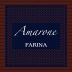 Remo Farina Amarone della Valpolicella Classico 2004 Front Label