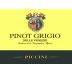 Piccini Pinot Grigio 2010 Front Label