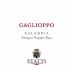 Statti Calabria Gaglioppo 2013 Front Label