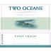 Two Oceans Pinot Grigio 2013 Front Label