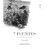 Suertes del Marques 7 Fuentes Listan Negro 2014 Front Label
