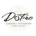 Destino Cabernet Sauvignon 1999 Front Label