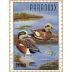 Paraduxx 2000 Front Label