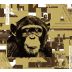 The Infinite Monkey Theorem Riesling 2011 Front Label