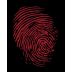 Thumbprint Cellars Three Some 2013 Front Label