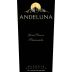Andeluna Grand Reserve Pasionado 2008 Front Label