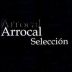 Bodegas Arrocal Arrocal Seleccion 2008 Front Label