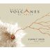 Bodega Volcanes de Chile Summit 2900 Pinot Noir 2014 Front Label