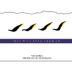 Mount Langi Ghiran Pinot Gris 2001 Front Label