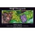 Wolff Vineyards Syrah 2003 Front Label