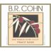 B.R. Cohn Russian River Valley Pinot Noir 2004 Front Label