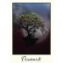 Pessimist Red Blend 2013 Front Label