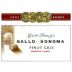 Gallo of Sonoma Pinot Gris 2004 Front Label