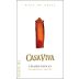 Casas del Bosque Casa Viva Chardonnay 2008 Front Label