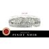 Willamette Valley Vineyards Pinot Noir 2004 Front Label