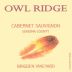 Owl Ridge Wines Bridgen Vineyard Cabernet Sauvignon 2003 Front Label
