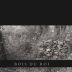 Costes Cirgues Bois du Roi 2011 Front Label