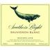 Southern Right Sauvignon Blanc 2008 Front Label