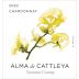Alma de Cattleya Chardonnay 2022 Front Label