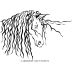Ghost Horse Vineyards Cabernet Sauvignon 2015 Front Label