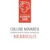 Platinetti Guido Colline Novaresi Nebbiolo 2015 Front Label