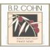 B.R. Cohn Russian River Valley Pinot Noir 2009 Front Label