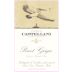Castellani Pinot Grigio 2021 Front Label