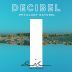 Decibel Wines Organic Petillant Naturel 2022 Front Label