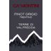 Ca' Montini Terre di Valfredda Pinot Grigio 2015 Front Label