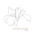 Sentium Sauvignon Blanc 2022 Front Label
