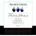 Jacob's Creek Three Vines Shiraz Cabernet Tempranillo 2007 Front Label