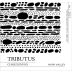 Tributus Chardonnay 2013 Front Label