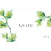 Booker Vineyard White 2016 Front Label