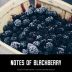 Charles Smith Wines Boom Boom Syrah 2016 Notes of blackberries. Gift Product Image