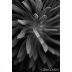 Outre Wines Vista Luna Vineyard Graciano 2016 Front Label