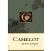 Camelot Pinot Grigio 2013 Front Label