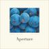 Aperture Sonoma County Cabernet Sauvignon 2021 Front Label