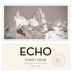 Luis Felipe Edwards Echo Valle de Leyda Pinot Noir 2017 Front Label