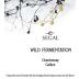 Segal's Wild Fermentation Chardonnay (OK Kosher) 2019 Front Label