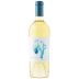 Summer Dreams Walking on Venice Beach Sauvignon Blanc 2024 Front Bottle Shot