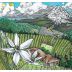 Kelley Fox Mirabai Pinot Noir 2023 Front Label