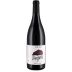 Nicolas Reau Anjou Pompois Rouge 2021 Front Bottle Shot