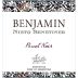 Nieto Senetiner Benjamin Pinot Noir 2015 Front Label