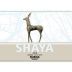 Shaya Verdejo 2019 Front Label
