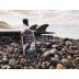 Black Feather American Straight Bourbon Whiskey Gift Product Image