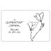 Clementine Carter Mourvedre 2021 Front Label